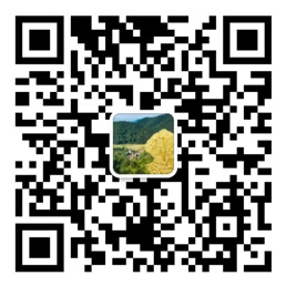 彩神网页版